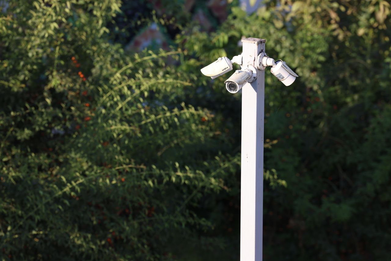 Cluster of surveillance cameras mounted outdoors amidst green foliage for public safety.